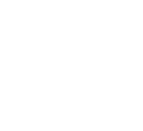 Liberal Party Logo